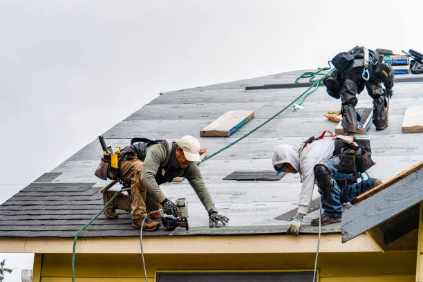 Professional Roof Replacement technician working in North Prairie, WI